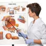 Bioprinting of Organs